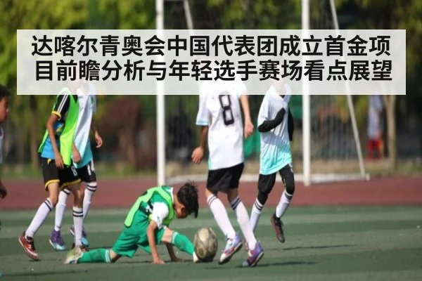 达喀尔青奥会中国代表团成立首金项目前瞻分析与年轻选手赛场看点展望
